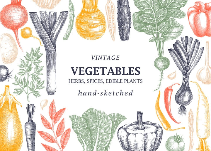 Hand-sketched Vegetable vintage frame. Hand-drawn tomatoes, squashes, peppers, potatoes, asparagus and other vegetables drawings. Healthy food background for menu, recipe, restaurant, packaging.